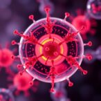 conjugated-lipopetide-antibiotics-target-candida-auris