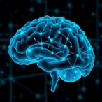 graphene-quantum-dot-nanocomposites-fight-glioblastoma