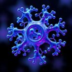 computational-design-of-trichomonas-vaginalis-vaccine