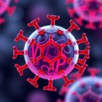 vaccine-targeting-abp2d-shields-against-catheter-utis