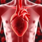 defective-lipid-droplets-worsen-heart-cell-damage