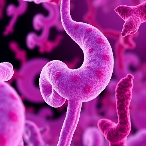 intrapartum-azithromycin’s-impact-on-early-gut-mycobiota