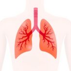 pulmonary-hypertension,-nitric-oxide,-and-premature-retinopathy