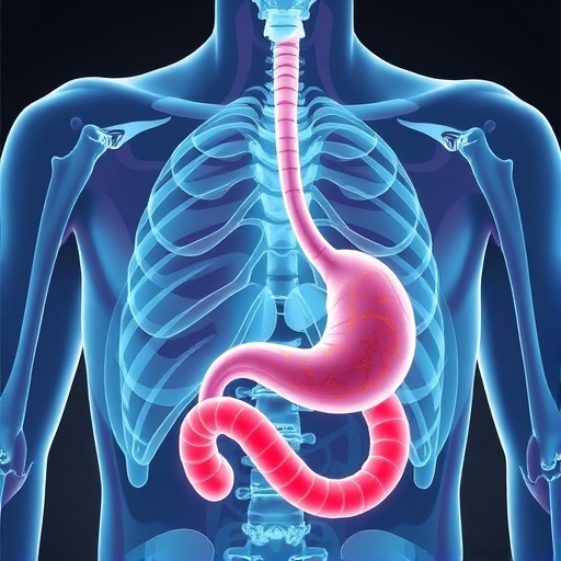 cachexia-index-predicts-gastric-cancer-impact