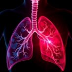 unraveling-mitophagy-in-bronchopulmonary-dysplasia