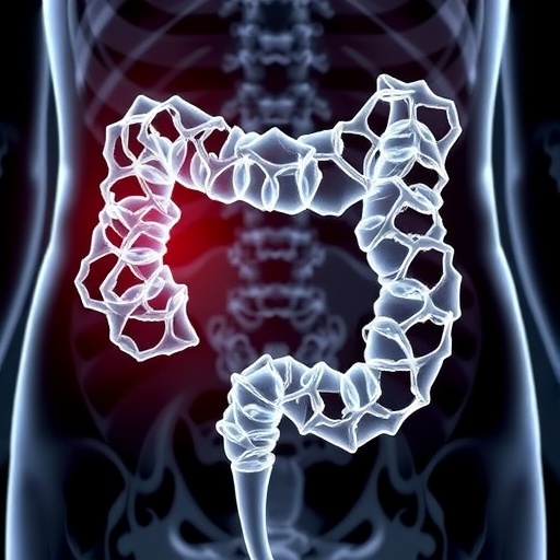 sericin-silver-nanoparticles-combat-colorectal-cancer-effectively