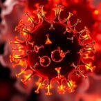 otoferlin-unveiled-as-childhood-lupus-nephritis-biomarker