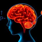 corticosteroids-in-late-preterms:-childhood-neuro-effects?