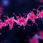 mirna-92a-3p:-a-new-malaria-therapy-lead