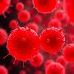 astaxanthin-triggers-cancer-cell-death-in-colon-cells