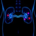 discovery-of-new-gene-associated-with-aggressive,-treatment-resistant-prostate-cancer