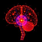nuclear-speckle-rejuvenation:-the-next-frontier-in-neurodegeneration-treatment