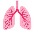 lung-cancer-screening:-patient-and-provider-insights