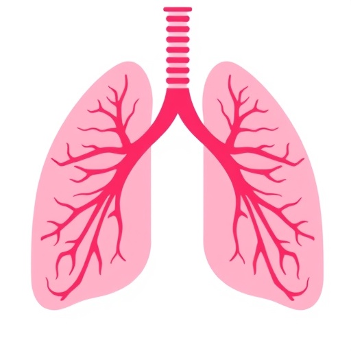 lung-cancer-screening:-patient-and-provider-insights