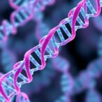 deep-learning-enables-precise-microhomology-genome-editing