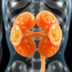 3d-printed-kidney-tumors-open-new-pathways-for-targeted-cancer-therapies