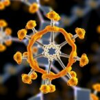 innovative-carbohydrate-synthesis-method-promises-breakthroughs-in-biomedical-research