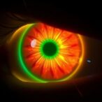 kaist-unveils-revolutionary-wireless-oled-contact-lens-for-retinal-diagnostics