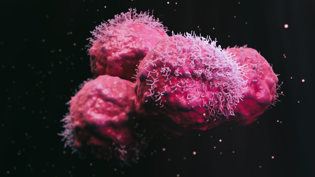 bayer,-kumquat-target-kras-variant-in-up-to-$1.3b+-cancer-collaboration