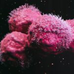 bayer,-kumquat-target-kras-variant-in-up-to-$1.3b+-cancer-collaboration