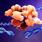 ai-designed-dna-repair-templates-improve-gene-editing-precision