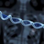 gene-editing-enables-cdna-therapy-for-chronic-granulomatous-disease