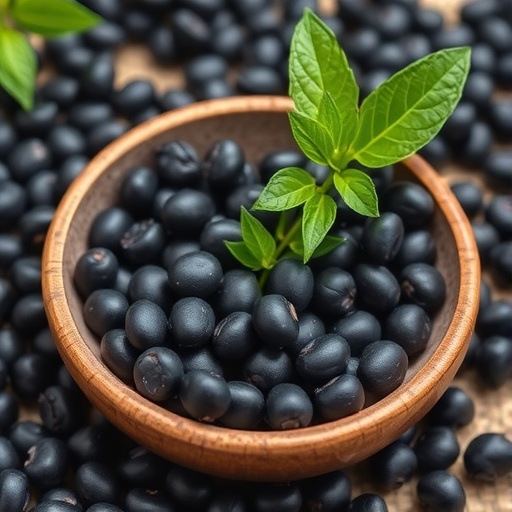 fermented-black-soybeans-boost-neuron-protection-antioxidantly