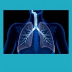 assessing-lung-recruitability-in-neonatal-ventilation
