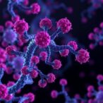 multi-omics-reveal-rcc-immunotherapy-markers