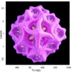 cerium’s-unique-redox-properties-in-bafe1−xcexo3−δ-perovskites