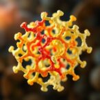 3d-structure-of-active-and-silent-e.-coli