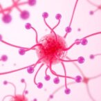 new-compound-targets-survival-mechanisms-in-aromatase-inhibitor-resistant-breast-cancer-cells