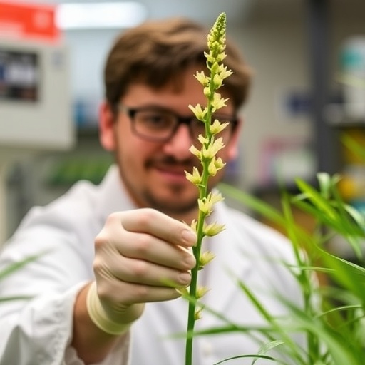 scientists-return-to-fundamentals-with-streamlined-plant-genomes