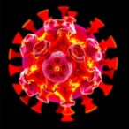 immunotherapy-prolongs-survival-in-patients-with-rare-skin-cancer