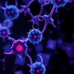 dysfunctional-t-cells-in-ebv-positive-lymphoma