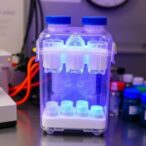 plug-and-play-system-boosts-streptomyces-metabolite-production