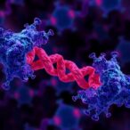opposing-atpases-and-alkbh1-shape-chromatin,-stress-response