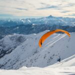 chutes-&-ladders—pfizer-vet-lands-first-ceo-role
