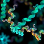 adamts2:-unlocking-the-therapeutic-potential-of-a-multifunctional-protein