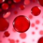 the-humble-platelet-takes-on-an-exciting-new—and-doubly-valuable—role,-science-reveals