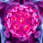 breakthrough-cancer-drug-eradicates-aggressive-tumors-in-clinical-trial