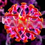 unraveling-ion-transport-in-lisicon-structures