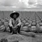 settler-colonialism-undermines-food-systems-in-crises