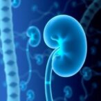 topk-drives-immune-suppression-in-kidney-cancer