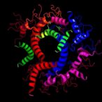 eif2b-activator-dnl343-targets-als-and-tdp-43