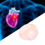 plant-based-hydrogel-and-nano-units-treat-heart-attack