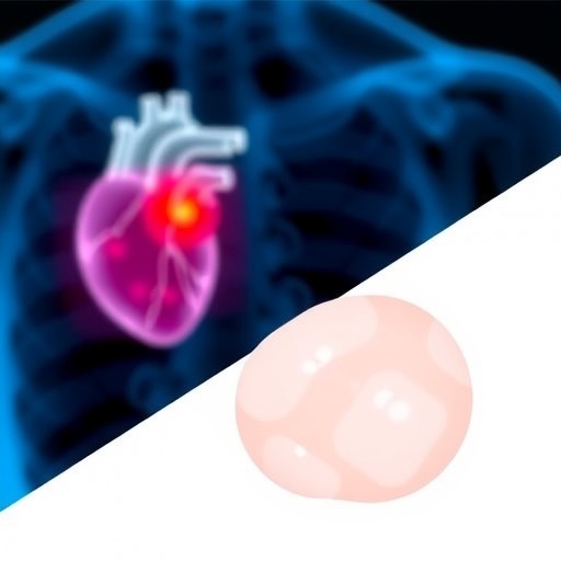 plant-based-hydrogel-and-nano-units-treat-heart-attack