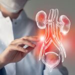 new-blood-pressure-treatment-guidelines-add-recommendations-for-renal-denervation