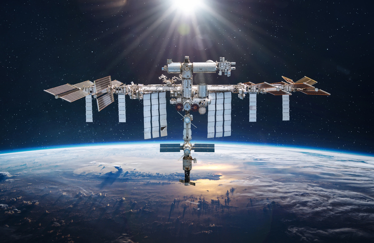 space-station-stem-cells-successfully-produce-healthy-mice