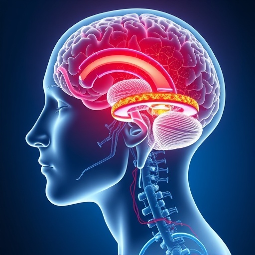 iron-imbalance-in-brain-and-body-linked-to-parkinson’s